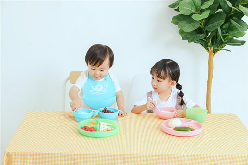 婴幼儿硅胶碗厂产品介绍 浙江北星科技